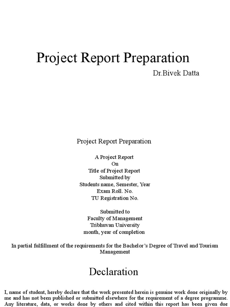 What Is Project Report Preparation