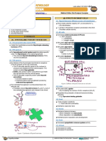 065 Endocrinology Pathology Hypothyroidism Physiology, Pathophysiology