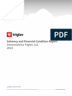 Triglav Zavarovalnica - Eng - Final
