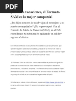 Instrucciones para Llenar Formato SAM | PDF