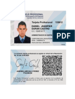 Tarjeta Profesional