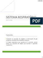 Sistema Respiratório