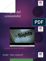 Insights Del consumidor-EJERCICIOS