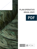 Plan Operativo Anual 2021