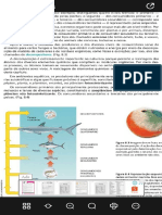 Biologia Moderna 3 - Amabis & Martho 2