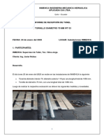 Informe de Recepcion Tornillo y Tunel 70 MM WT03 J N