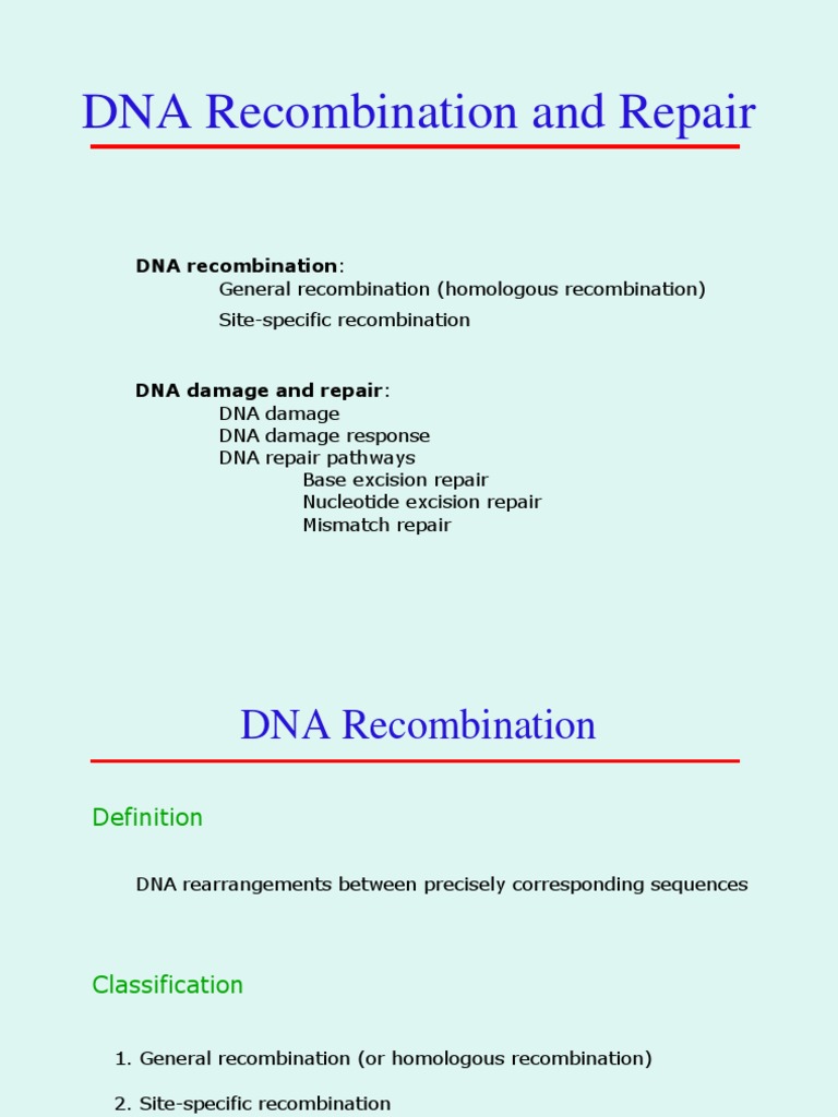 DNA Recombination and Repair Mechanisms | PDF | Dna Repair | Genetic ...