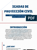 Brigadas de Protección Civil