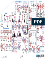 Cardiovascular Pathology - 026) Acyanotic Congenital Heart Defects CHD Part 1 (Illustrations - Key)