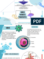 Seminario Microbiologia