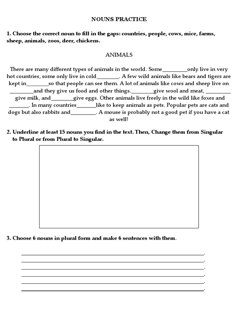 Nouns Practice Exercise Guide | PDF
