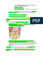 Abdome 2 PDF