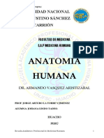 Anatomia 1