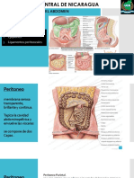 Cavidad Peritoneal Epiplones y Ligamentos Peritoneales