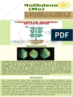 Infogracia Sobre El Molibdeno en Las Plantas