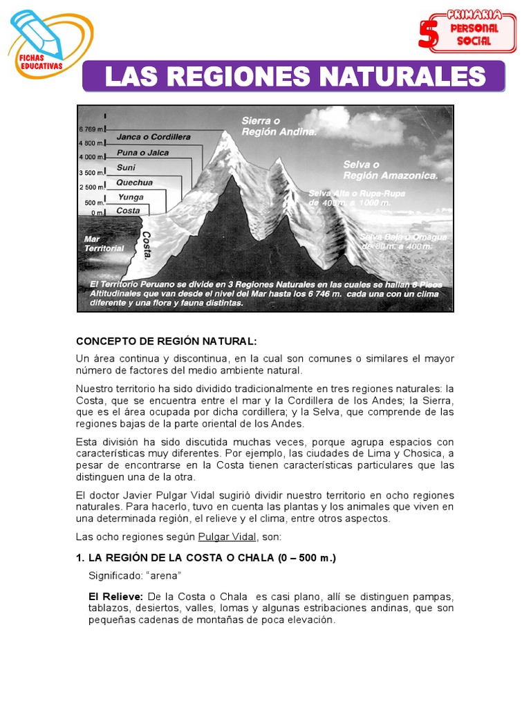 Ocho Regiones Naturales del Perú | PDF | Andes | Desierto