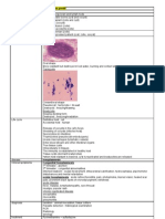 Protozoa Revision - Toxoplasma Gondii