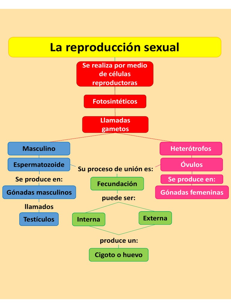 Mapa de Reproducción Sexual | PDF