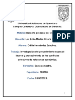 Procedimiento Especial Laboral y de Caracter Económico