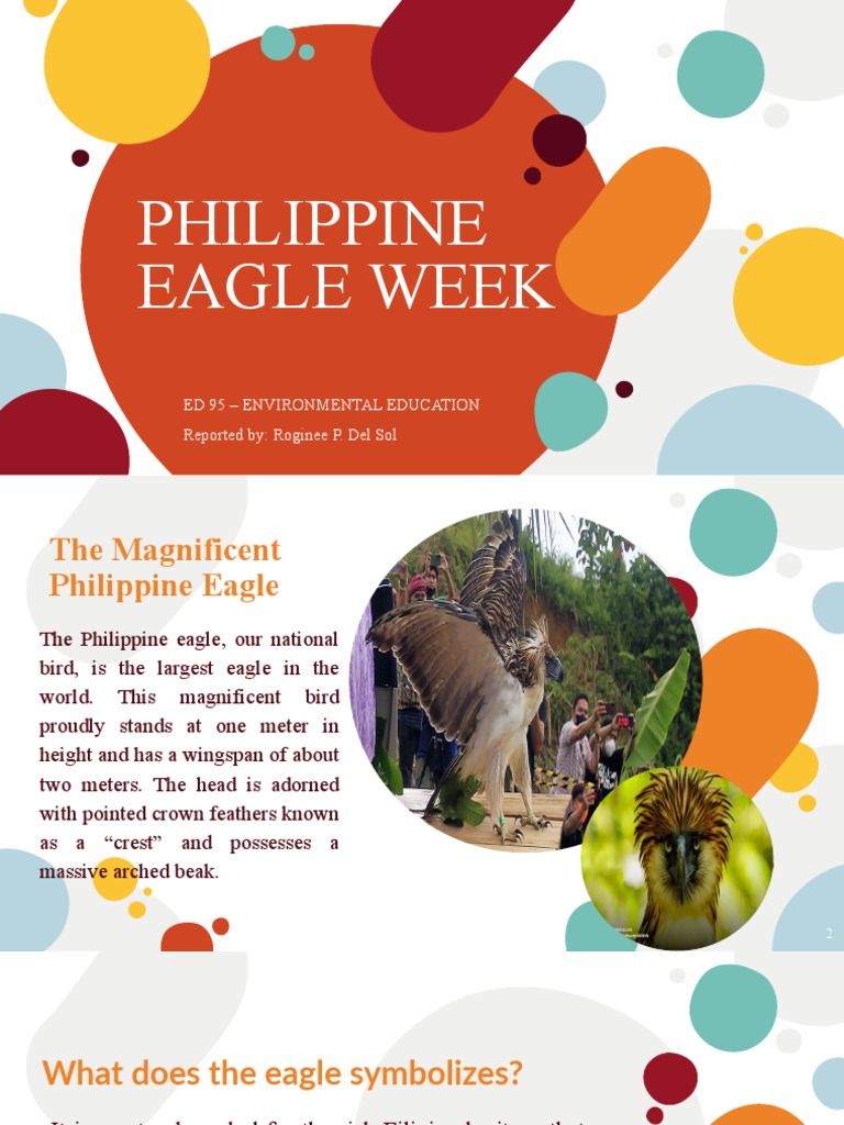 Philippine Eagle Week | PDF | Eagle | Philippines