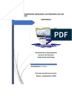 Audiencia Preliminar Resumen