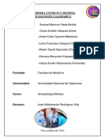 Monografía. Pandemia Covid-19 y Sistema de Salud en Cajamarca