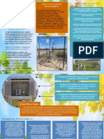 Infografia Del Clima