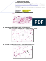 Tarea de La S12