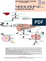 Infografia Metabolismo Arango