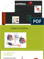 Presion Arterial