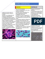 Cuadro Comparativo..