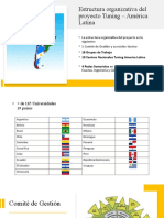 Estructura Organizativa Del Proyecto Tuning - América Latina