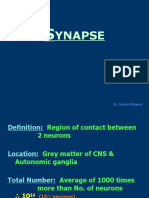 01 Synapse