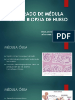 Aspirado de Médula Ósea y Biopsia de Hueso