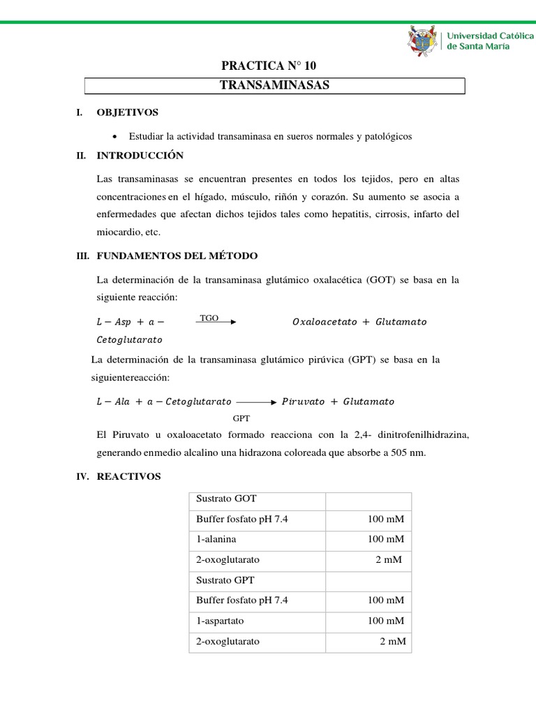 Actividad de Transaminasas en Sueros | PDF | Transaminasa | Biomoléculas