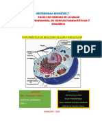 Guía Práctica #05 Biología Celular y Molecular