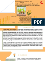 TRABAJO FINAL Efectos de Niveles de Bioestimulante en La Altura de La Planta de Maíz en Suelo Franco-Arcilloso Del Departamento de Apurimac
