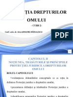 Curs 2 - Denumirea, Definitia, Trasaturile Si Principiile Protectiei Juridice A Drepturilor Omului