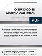 Marco Jurídico en Materia Ambiental