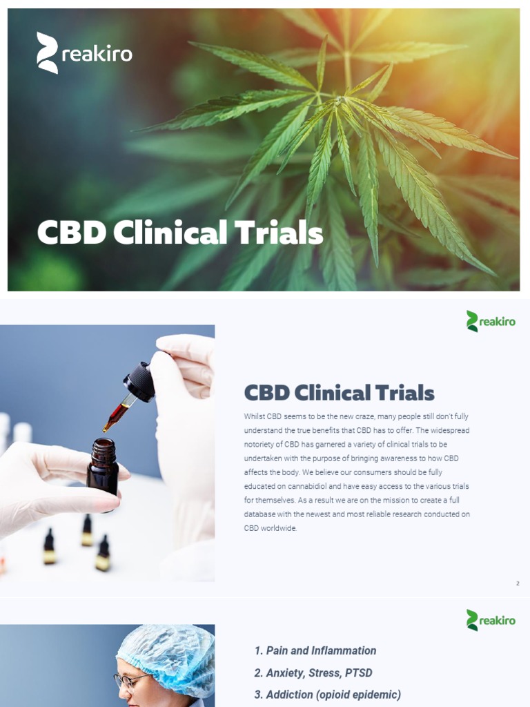 CBD for Chronic Pain Management | PDF | Adipose Tissue | Anxiety