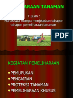 Pemeliharaan Tanaman