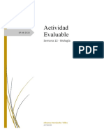 S12 Actividad Evaluable