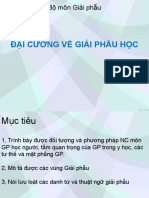 # Đ I Cương GP - Edited V2