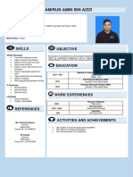 BI Resume Amirun Amin Bin Azizi