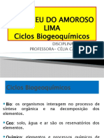 Aula Ciclos Biogeoquímicos