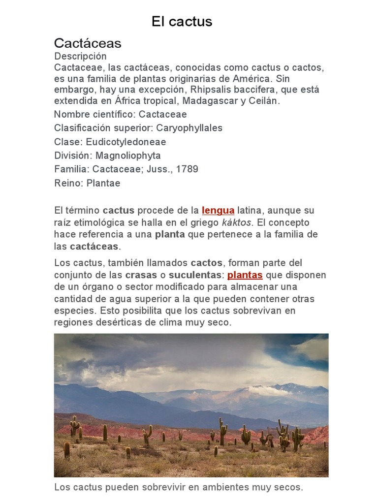Ventajas y características del cactus | PDF | Plantas | Botánica