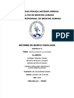 Informe-De-Morfofisiologia-Practico-Semana-12 UPAO - REGULACIÓN DE GLICEMIA
