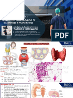 S11-B&G Desarrollo Embriológico de La Tiroides y Paratiroides 2023-1