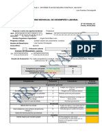 Informe Individual de Desempeño Laboral