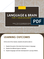 ALS426 Chapter 10 Language and Brain Neurolinguistics 2